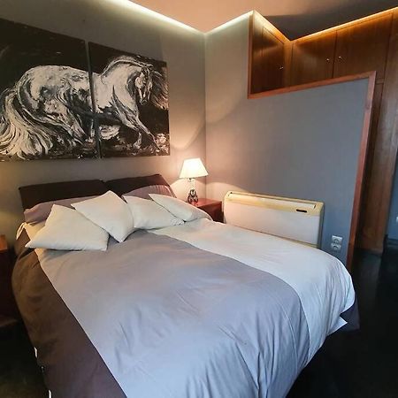 Atico Singular En El Centro Historico. Apartman Jaén Kültér fotó